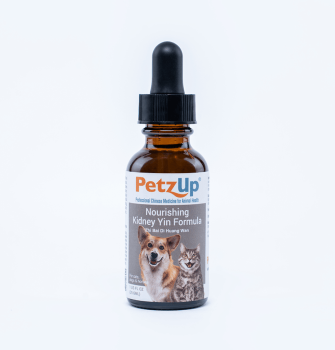 Nourishing Kidney Yin Formula
