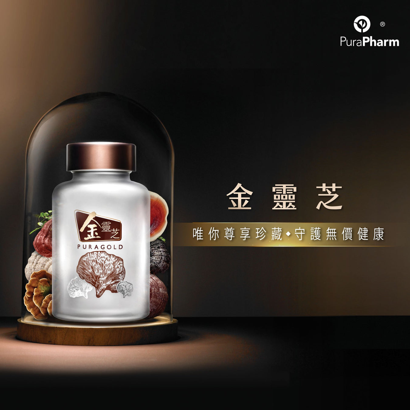 8月精選產品推介